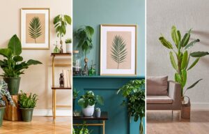 Invite nature into your home