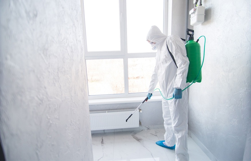 Understanding Mold Remediation and the Preventative Measures That Needs to Be Taken